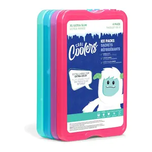 4 Pack XL Slim Ice Packs for Lunch Box & Cooler, Reusable Quick Freeze Thin Freezer Packs for Insulated Bags, Picnic, Camping & Food Storage, Multi Color