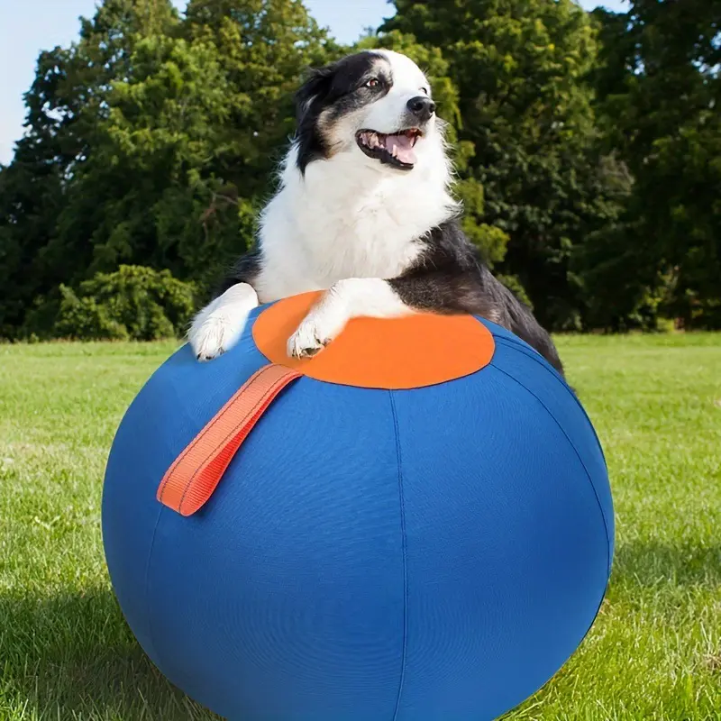 Herding Ball for Dogs, Durable Pet Play Toy, Interactive Dog Accessory for Energetic Breeds
