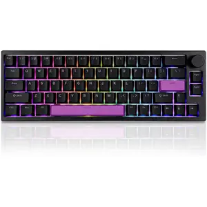 66Pro Rapid Trigger   Mechanical Keyboard,65%  Actuation Point Adjustable Dedicated 8K Hz Polling Rate HotSwap RGB Wired Gaming Keyboard with Knob (Black)