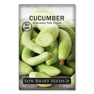 Armenian Pale Green Cucumber Seeds