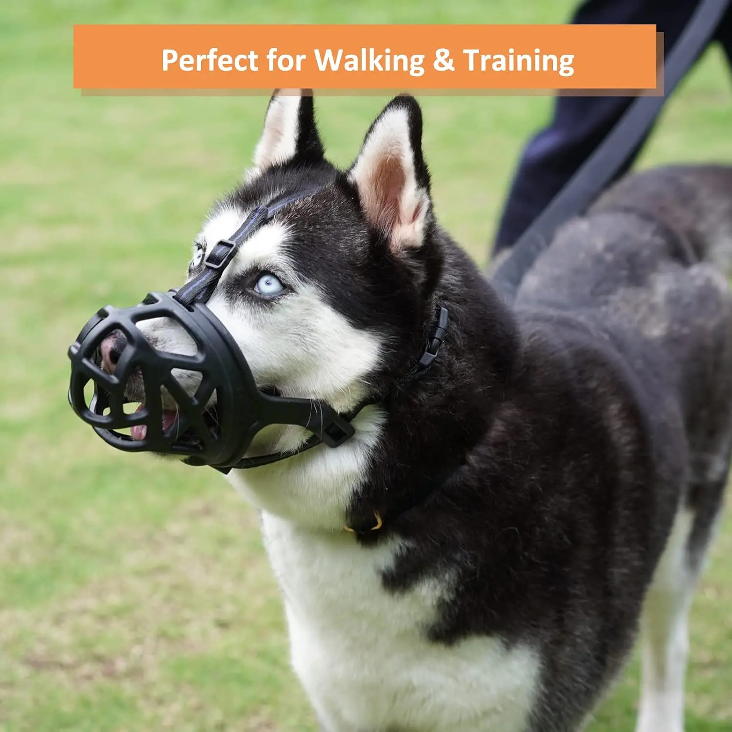 Dog Muzzle, Basket Muzzle for Biting, Chewing and Scavenging, Humane Cage Mouth Cover, Perfect for Grooming and Training Medium Aggressive Reactive Dogs (M, Black)