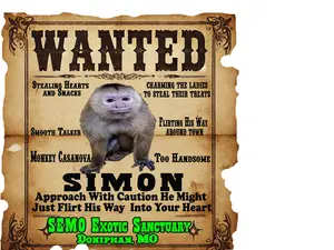 Simon "Wanted Poster" Unisex Graphic Tee Casual Everyday Versatile Fit for All Genders Bold Print Comfortable for Everyday Use