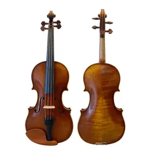 D Z Strad Violin - Model 350 - Handmade Violin Outfit