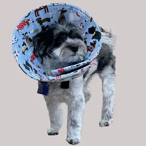 Soft Dog Cone for Surgery Recovery – Comfortable & Flexible (Dog Park Print)