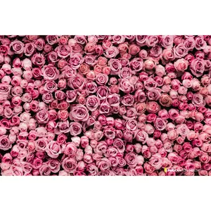 Rose Wall Sukkah Mural
