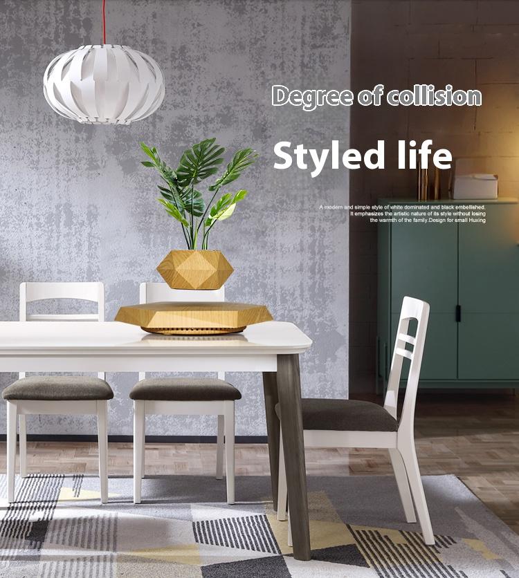 Cool Magnetic Levitating Plant Pot, 360° Rotating Floating Flower Pot with Wooden Texture Base, Unique Home & Office Desk Accessory