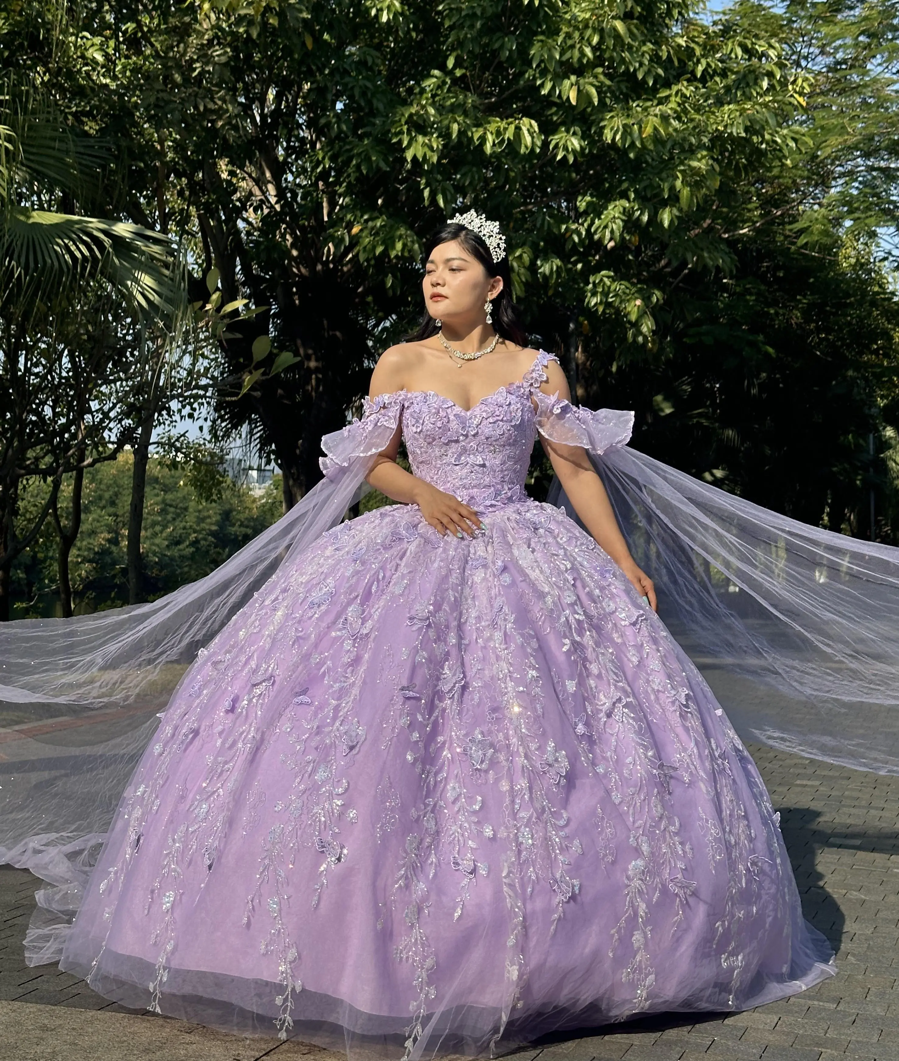 Women's Sparkle Tulle Ball Gown, a Formal Quinceanera Birthday Party Dress with 3D Butterfly Flower Appliqués and Removable Long Sleeves, Party Fit, Watch Party