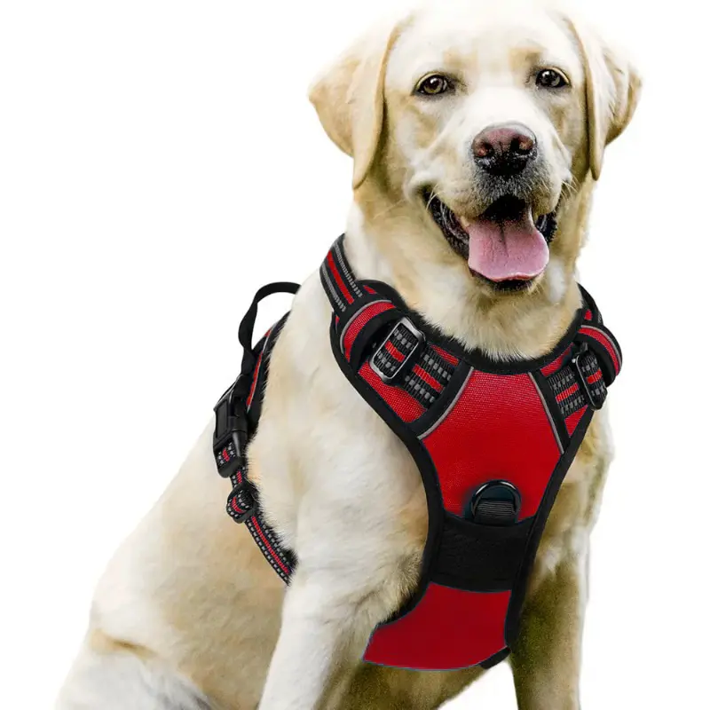 Durable Nylon Dog Harness Leash Combo for Large Breeds - Leash Included, Universal Harness, Multiple Colors for Comfort & Style, Ideal for Walks