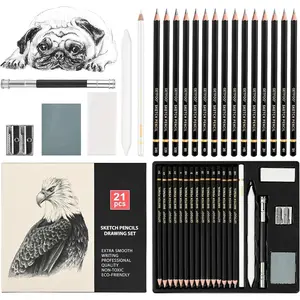 Drawing Sketching Pencil Set 21 Pack Art Pencil Kit with Graphite Pencils (14B-5H), Charcoal Pencil, Ideal for Shading, Blending, Drawing Set for Beginners & Pro Artists