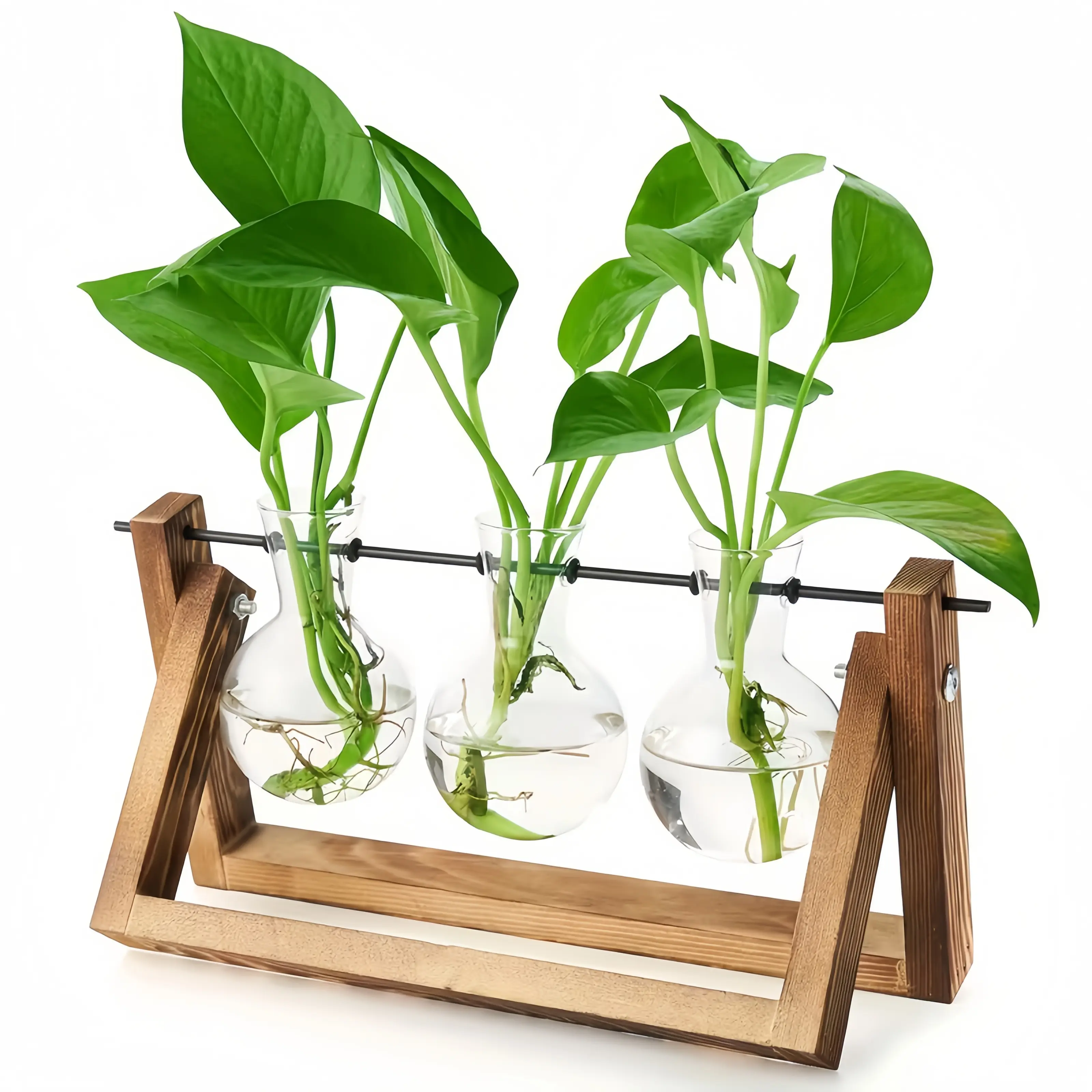 Propagation Station, Plants Terrarium, Plants Lover Gifts for Women,Plant Cutting Holder Home décor,Gifts for Women,House Warming New Home-3 Bulbs