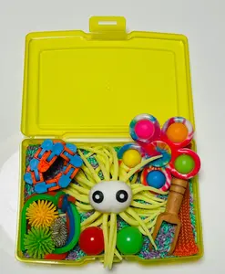 Sea urchin sensory rice kit