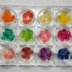 Dried Flower Nail Art