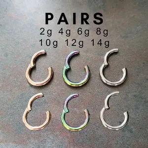 PAIR 2g 4g 6g 8g Hinged Clicker Segment Ring Hoop Earring Ear Silver Rose Gold Steel Big Gauge Septum Stretching Kit Piercing 10g 12g 14g