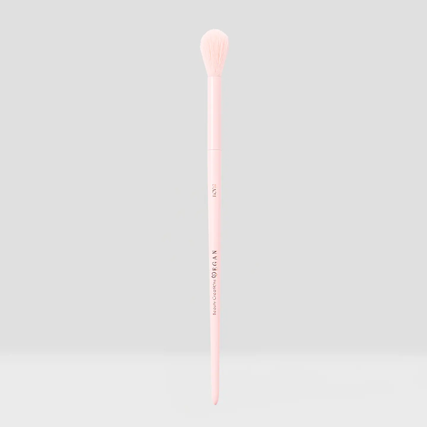 TAPERED DETAIL BRUSH (12PCS)