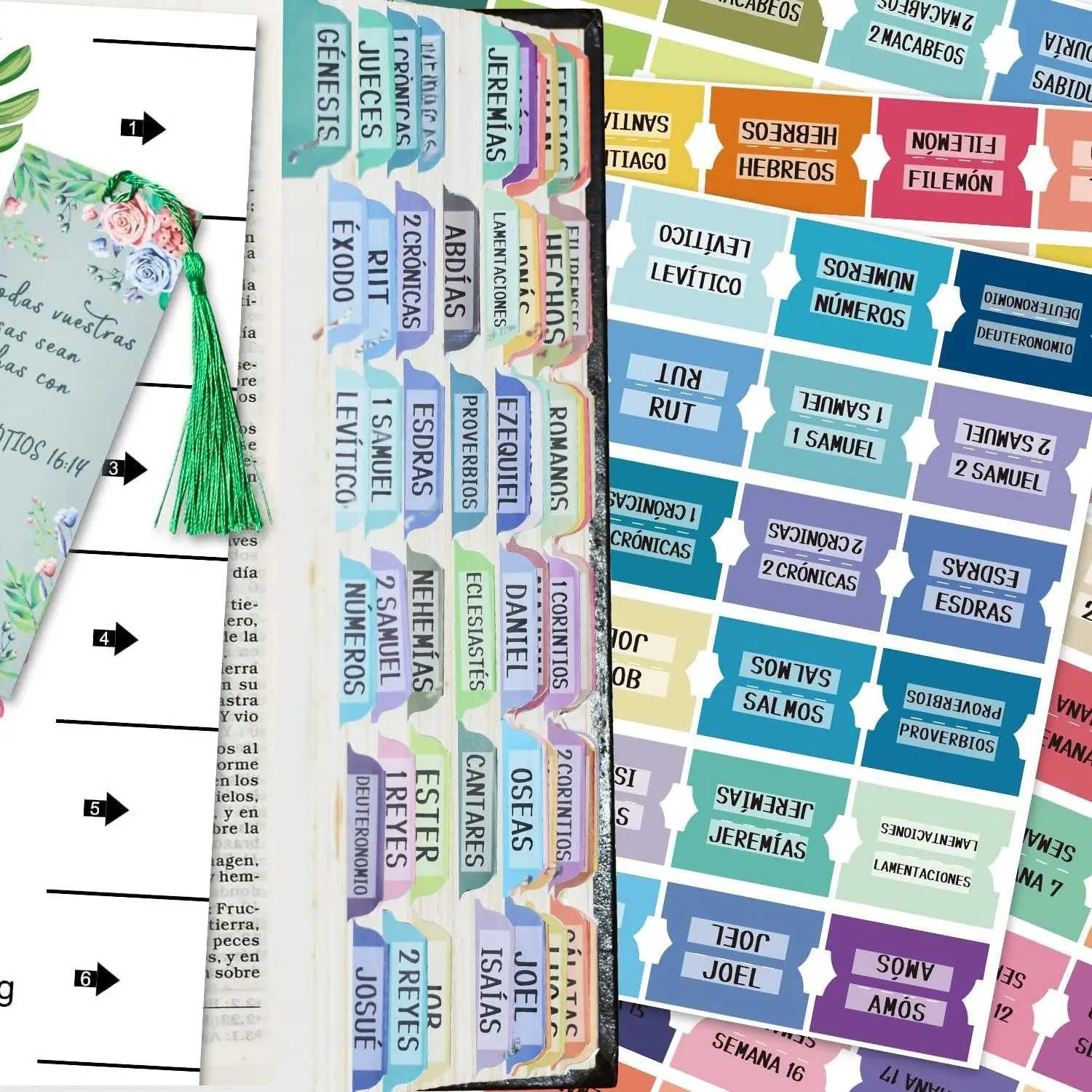 Spanish Catholic  Index Tabs  & Old Testament Tabs Matte Laminated Floral Design,  Journaling Supplies - 122 count (Solid Color)