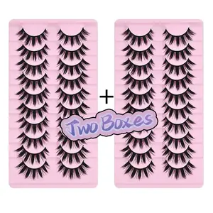 Reusable Anime Cat Eye False Eyelashes, 2 Boxes of 10 Pairs Dense Mixed Curl Lashes, 0.07mm Thick, Japanese Cosplay Style, Solid Form Makeup