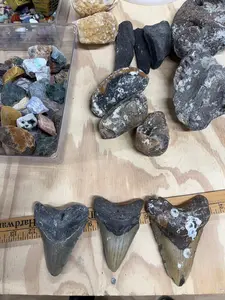 MEG AMAZING #33 TWO GALLON NATURAL CRYSTAL AND FOSSIL MINING BUCKET
