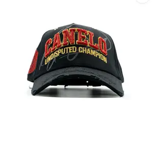Dandy Canelo Hat pound for pound