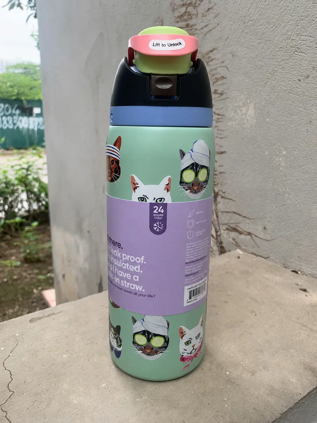 32oz Insulated Stainless Steel Water Bottle with Straw & Leakproof Lid, Cute Cat Print, Double Wall Vacuum Flask for Travel, Gym & Daily Hydration