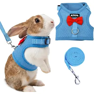 Bunny Harness and Leash Set with Cute Bow Soft Breathable Mesh Vest Harness for Rabbits Kitten Ferret Small Pig Puppy Walking Supplies Blue M