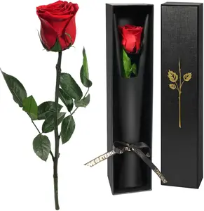 Preserved Flowers Rose Gifts for Women Mom, Mothers Day Rose Flower Gifts for Mom, Forever Real Flowers Birthday Mom Gifts for Her, Grandma, Girlfriend, Wife Gifts for Anniversary (Red) Decor Decorative Fruit Plants Box Decoration Table Wedding Ornaments