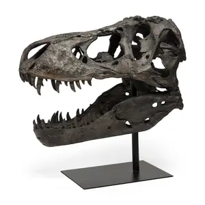 HomeRoots 392483 20 x 11 x 19 in. Authentic Replica Brown T Rex Skull Sculpture