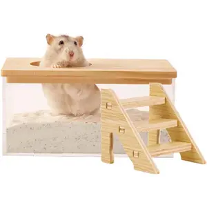 Transparent Hamster Sand Bath Box for Hamster Cage Accessories Digging Sand Container with Climbing Ladder Large Sandbox for Hamsters Dust Bath and Play (M Rectangle)