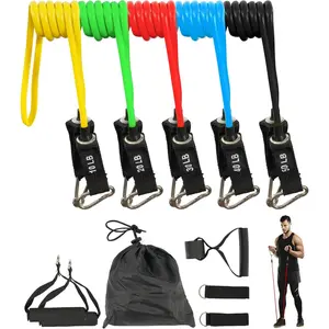 Resistance Loop Bands Set - 5-Level Exercise Bands for  Fitness, Physical  & Strength  (10-50lbs)