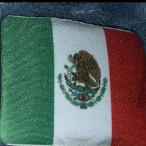 Dublin Customizable Magnets Personalized Options Available for Flags and Teams Sublimation Purchased