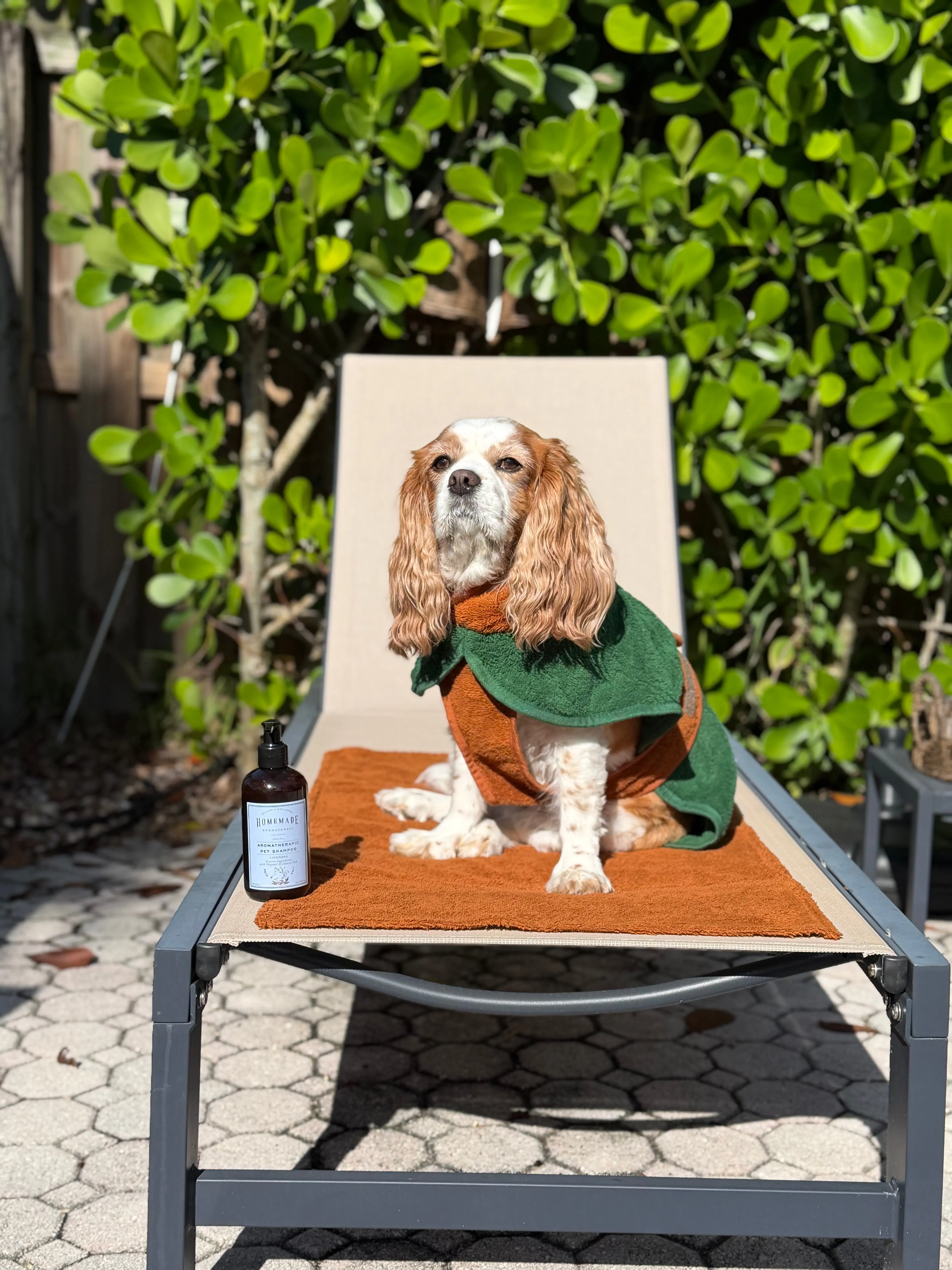 ENUSUAL Puprobe + HMA Pet Shampoo Bundle