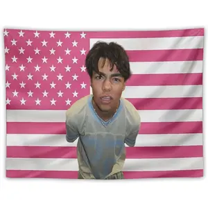 Tapestry Are Suitable For College Dormitories, Kitchen, Bedrooms, Background Decorations Flag Poster Gift Merch 30"X40"