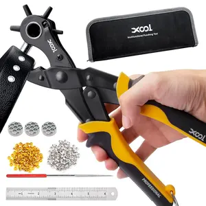 2 in 1 Leather Hole Punch Eyelet Tool Kit, 3/16" 4.5mm Metal Eyelets for Fabric, Hole Puncher, Eyelet Pliers for Shoes Leather Clothes Belt