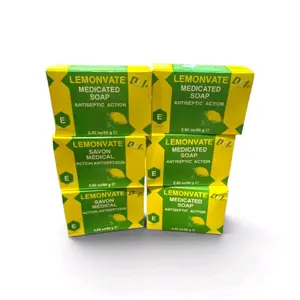 6pcs lemovate soap