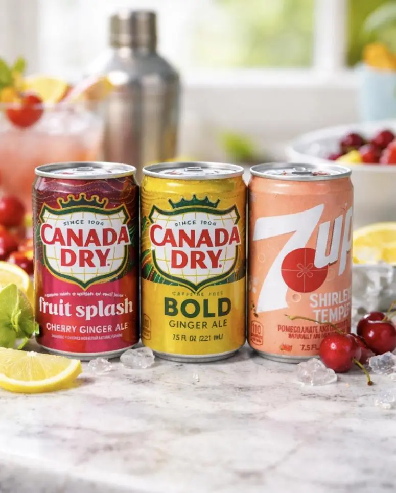 Canada Dry Variety Pack – Cherry, Bold Ginger & Shirley Temple | 3 Mini Cans 7.5 FL OZ | Caffeine Free Soda Sampler
