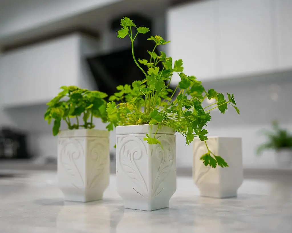 3D-Printed PETG Self-Watering Planter - Kitchen Garden Pot with Cotton Ball Wick, Moisture Control, Clean Decorative Look, Fits Small Herbs, Ideal for Indoor Basil Growth
