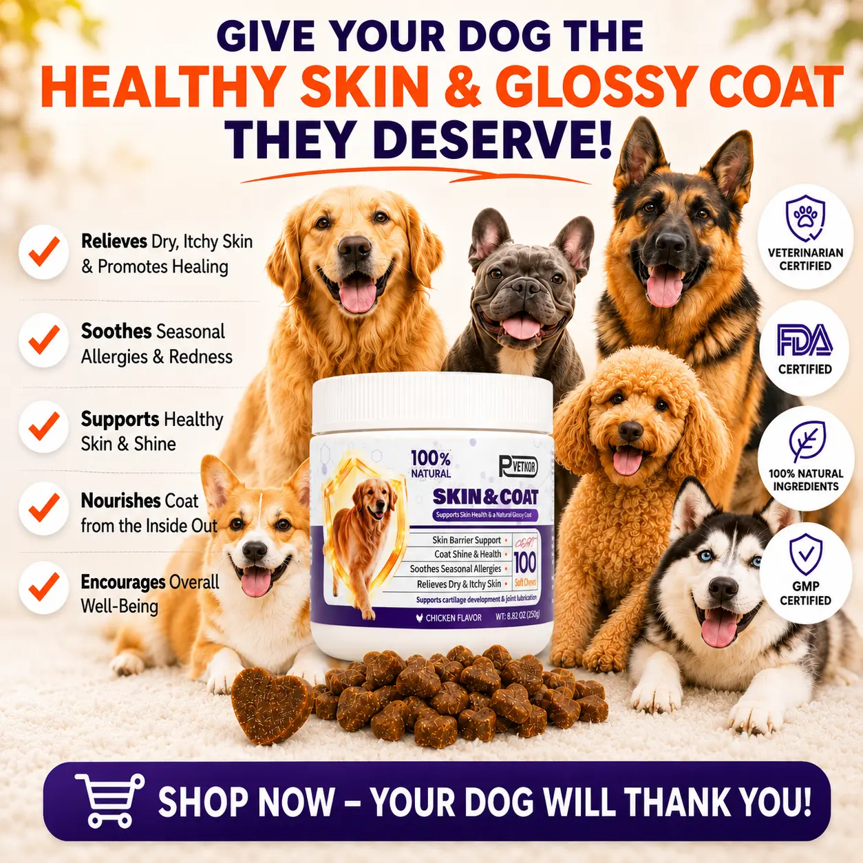 (Limited Sales) P-VETKOR Skin & Coat Supplement for Dogs – Omega 3 & 6 with EPA, DHA, Flaxseed, Colostrum & Turmeric, Supports Healthy Skin, Shiny Coat & Normal Shedding,100 Soft Chews