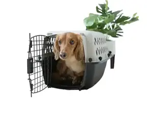 Pet Kennel Small 23" Dog Crate, Plastic Travel Pet Carrier for Pets up to 15 lb, Grey