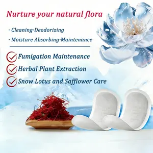 10Pcs Herbal Snow Lotus Warming Care P – Individually Wrapped Botanical Daily Comfort Pads for External Use