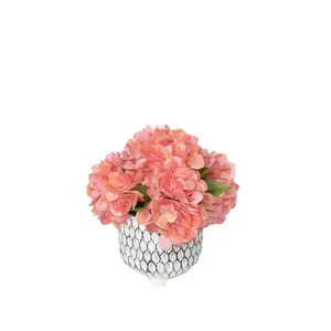 Coral Hydrangea