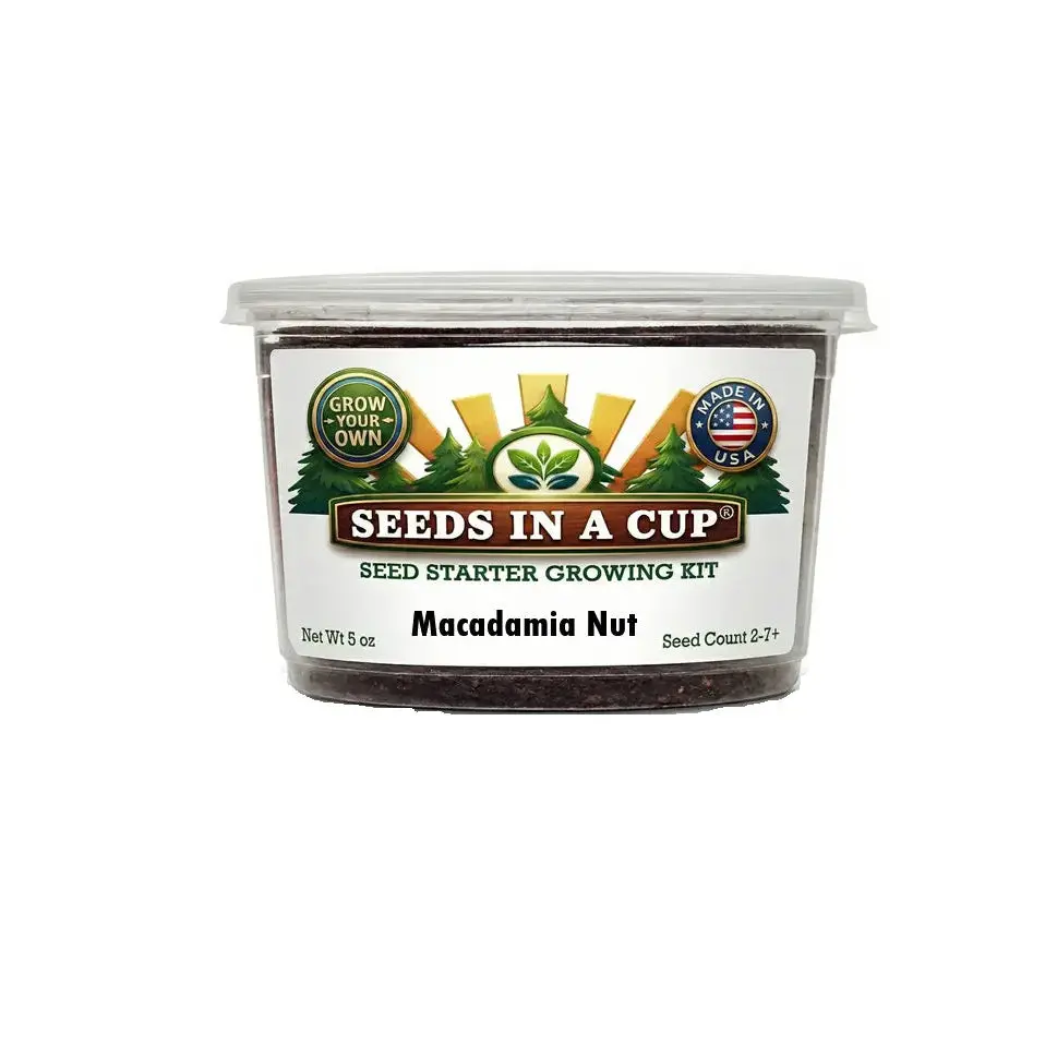 Macadamia Nut Tree Grow Kit | Seeds In A Cup®