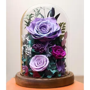 Valentine's Day  Gifts for Her - Preserved Rose in Glass Dome with LED Light, Forever   Bouquet for Delivery as Birthday Gifts for Women, Mom, Grandma, , Wife -