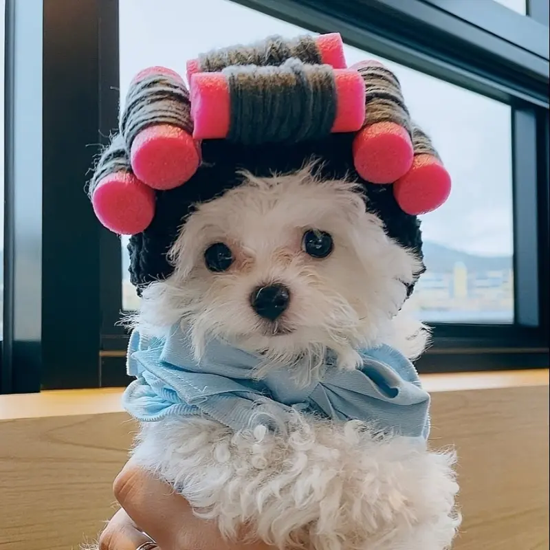Dog Fur Costume Cosplay Wig Set for Cat Curly Hair Photo Shoot, Pet Wig Halloween Christmas Party Holiday Dog Hat for Small Medium Large Dogs