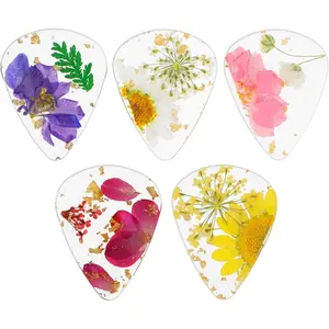 5 count Flower Guitar Picks Dried Flower  Guitar Plectrums Heavy  Colorful Guitar Plectrums Artist Guitar Pick for Bass Electric Acoustic Guitars Ukulele, Classical Triangle