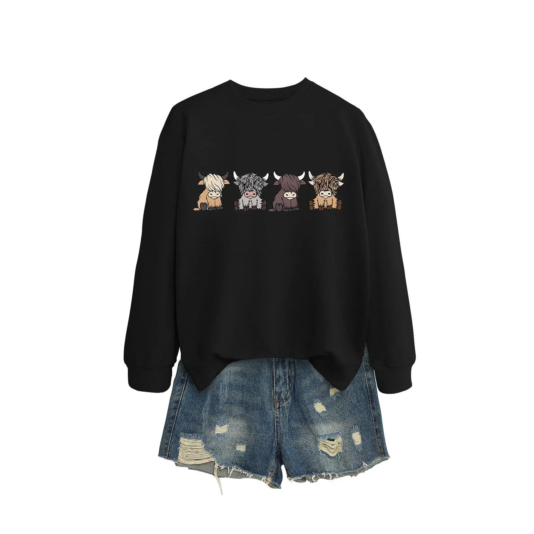 Black hoodie (color picture)