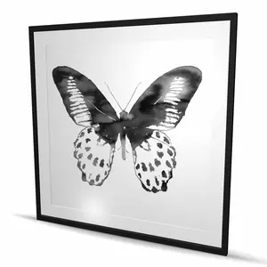 Begin Home Decor C1FM4848ART65E 48 x 48 in. Black Butterfly - White Framed Matted Print Wall Art for Home Decor