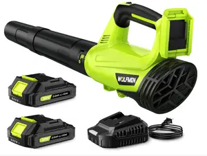 Electric Cordless Leaf Blower with 2 Batteries and Charger, 2-Speed Lightweight Handheld Blower for Leaves, Patio, Lawn & Dust