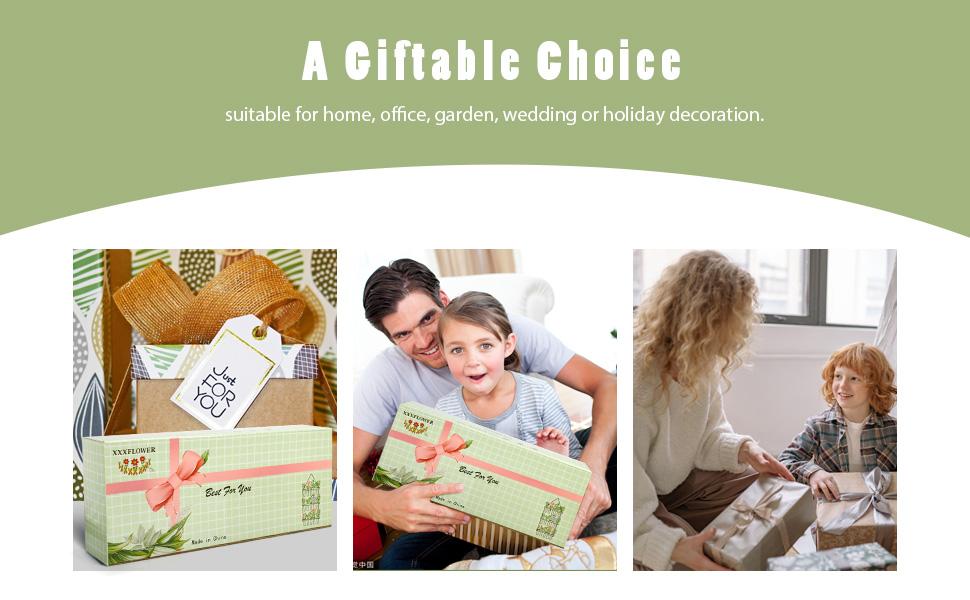 XXXFLOWER Extra Large Wooden Hanging Propagation Tubes 15 Vases Ready to Gift Indoor Plant Station Set for Easy Propagation & Decor