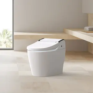Bidet Toilet TCB 8100N