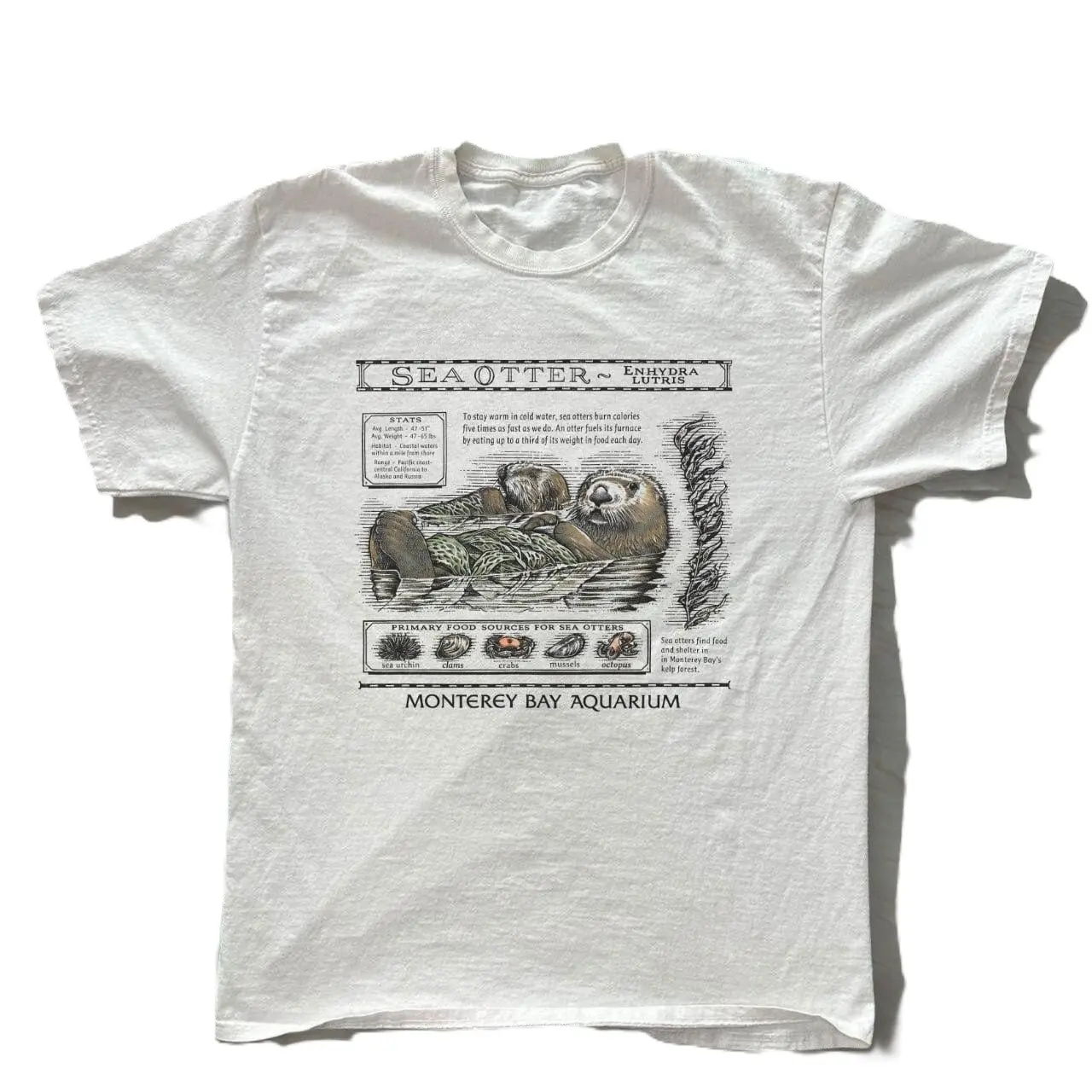 Sea Otters Monterey Bay Aquarium Shirt Size S-5XL