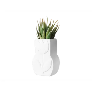 🐸 Tulip Vase